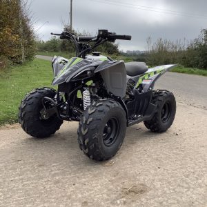 10Ten RXR 110 Quad Bike